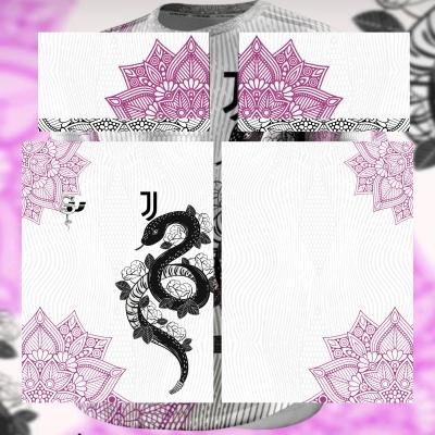 Arte da categoria interclass